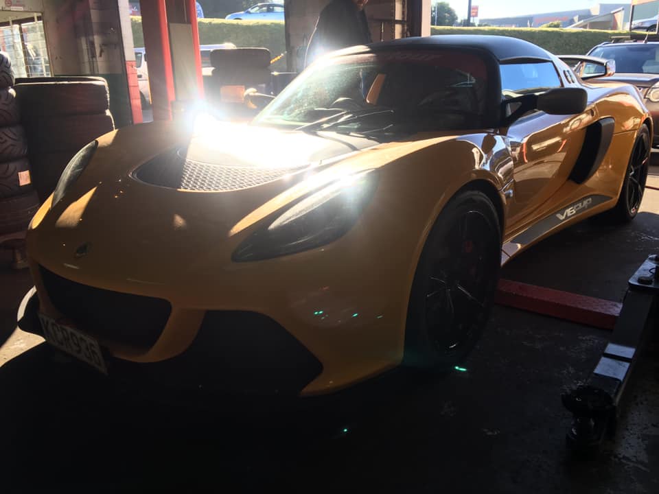 Lotus in the morning sun at the workshop entrance